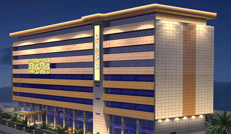 government project in Congo.jpg